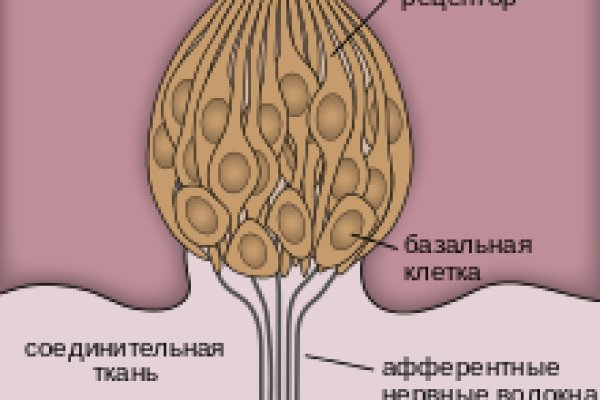 Площадка кракен